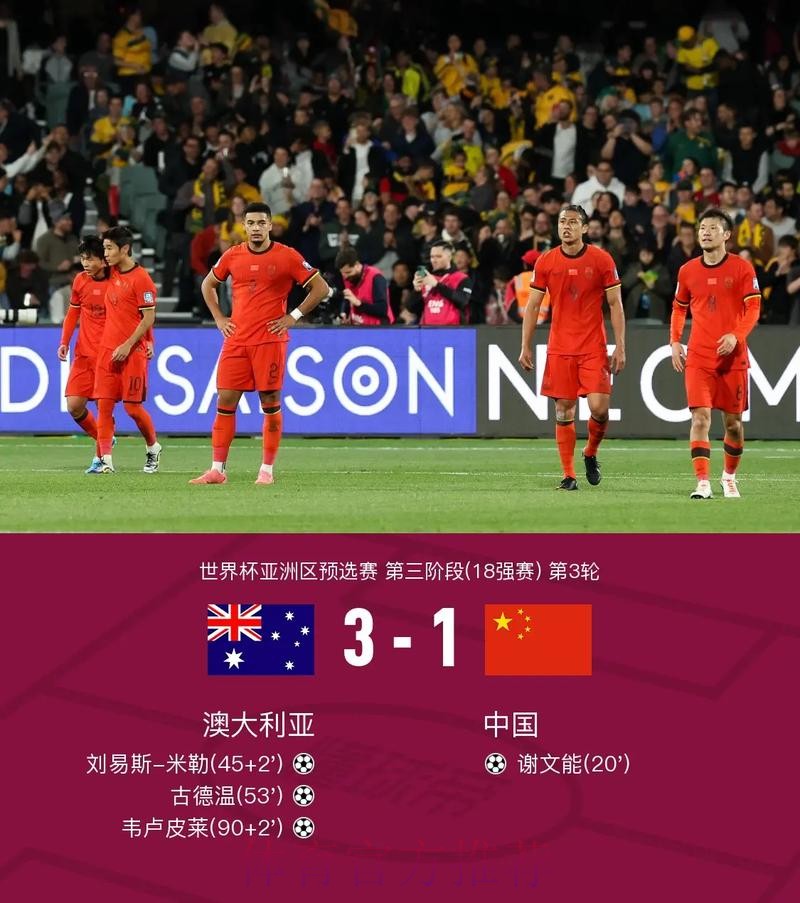 全面解析世界杯比分中心